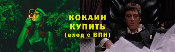 эйфоретик Арсеньев